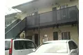アムールベレーシート