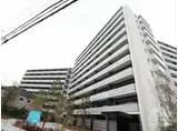 MIRAIMO SQUARE