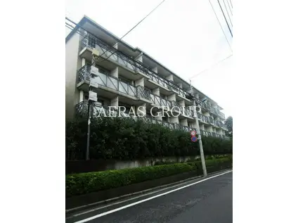 エルハイツ成増E棟E(ワンルーム/3階)の外観写真