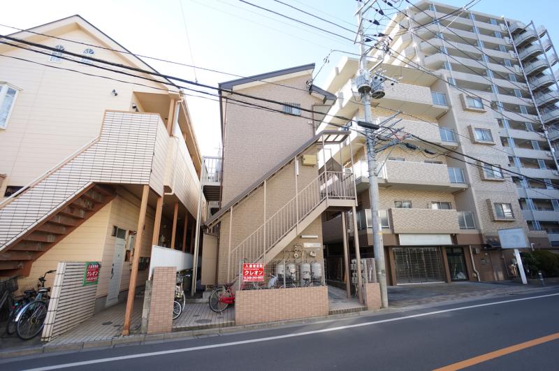ルピナス芝