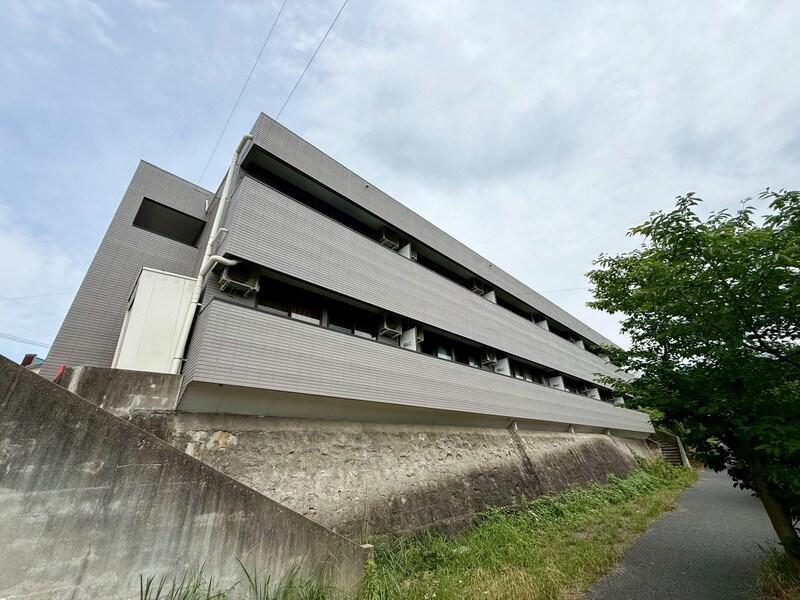 ソレイユ・トキ