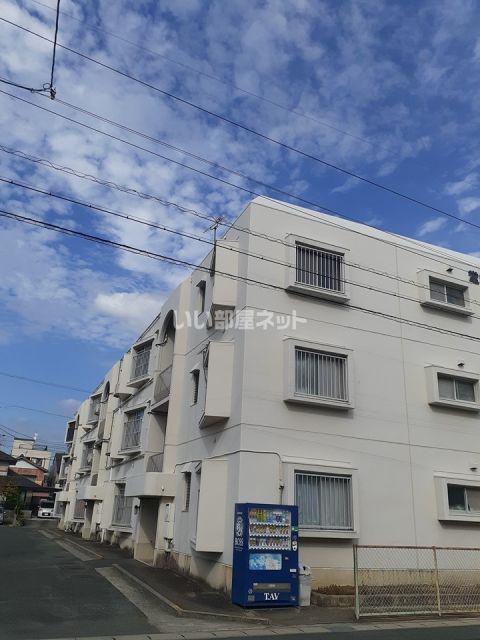 堂坂マンション(1LDK/1階)