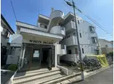 ホワイトパレス