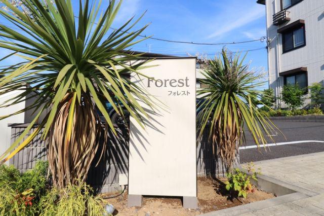 FOREST A