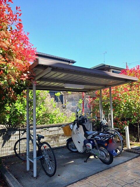 ラフレシール・K