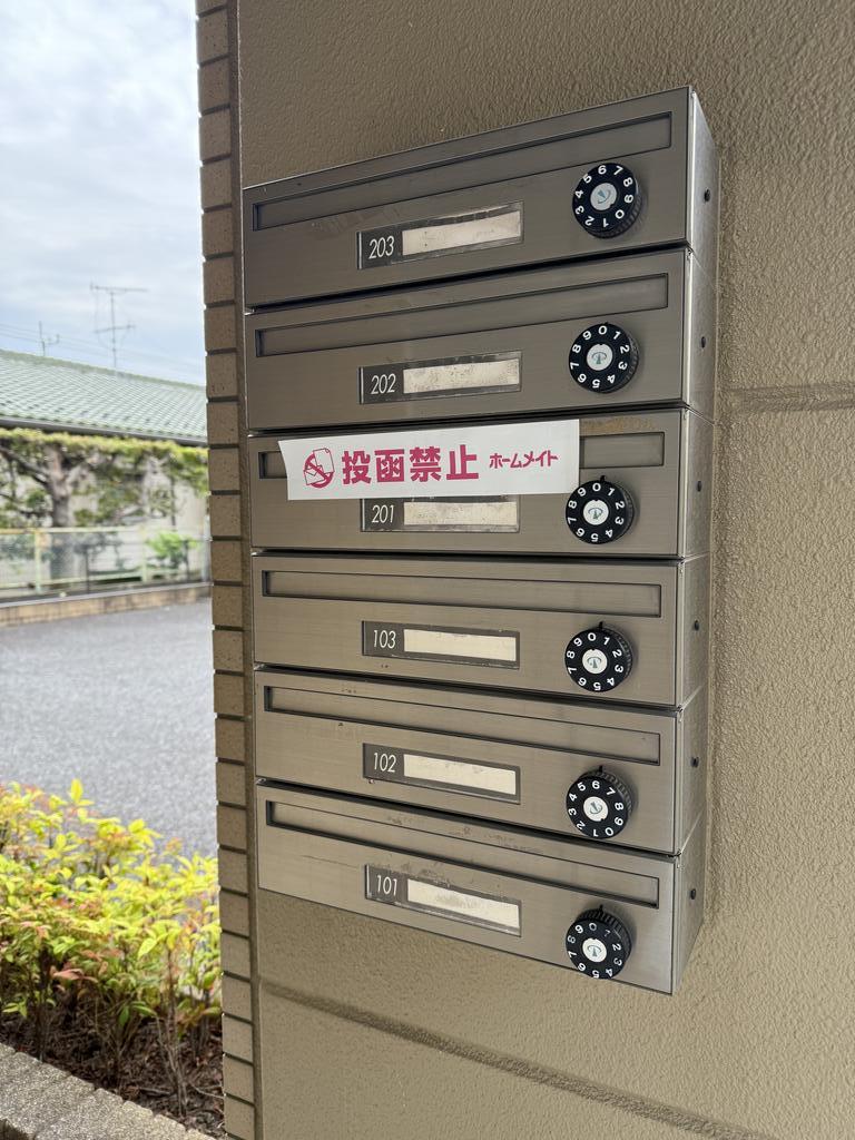 ドリームS
