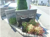 アクア フォレスト