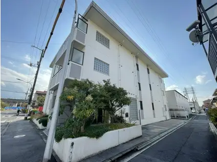 MS LEA KOUGOMINAMI(1K/3階)の外観写真