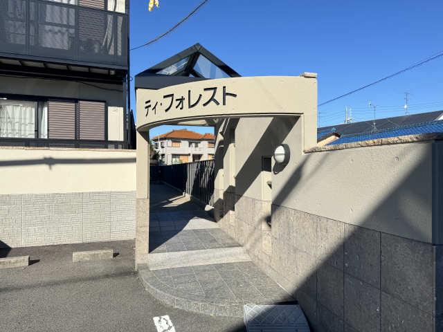 ティ・フォレスト