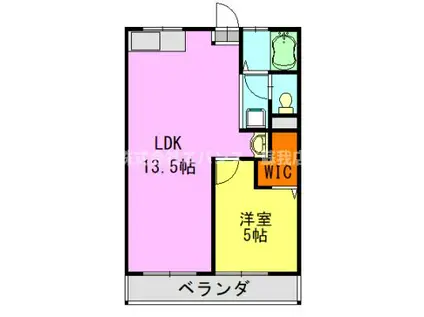 サンライフII(1LDK/1階)の間取り写真