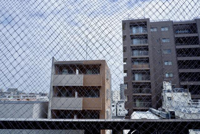 ディジィ川崎