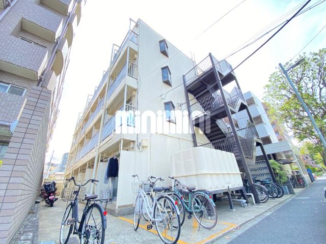 フローラ5
