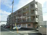 マリッチ小桜