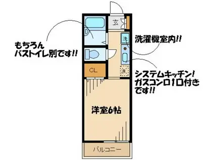 シティーホームズⅡ(1K/1階)の間取り写真