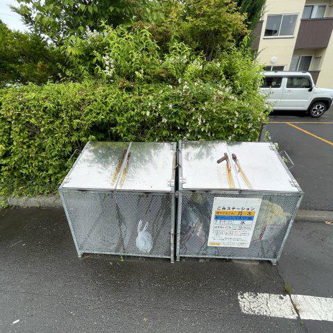 センター・ヴィレッジ