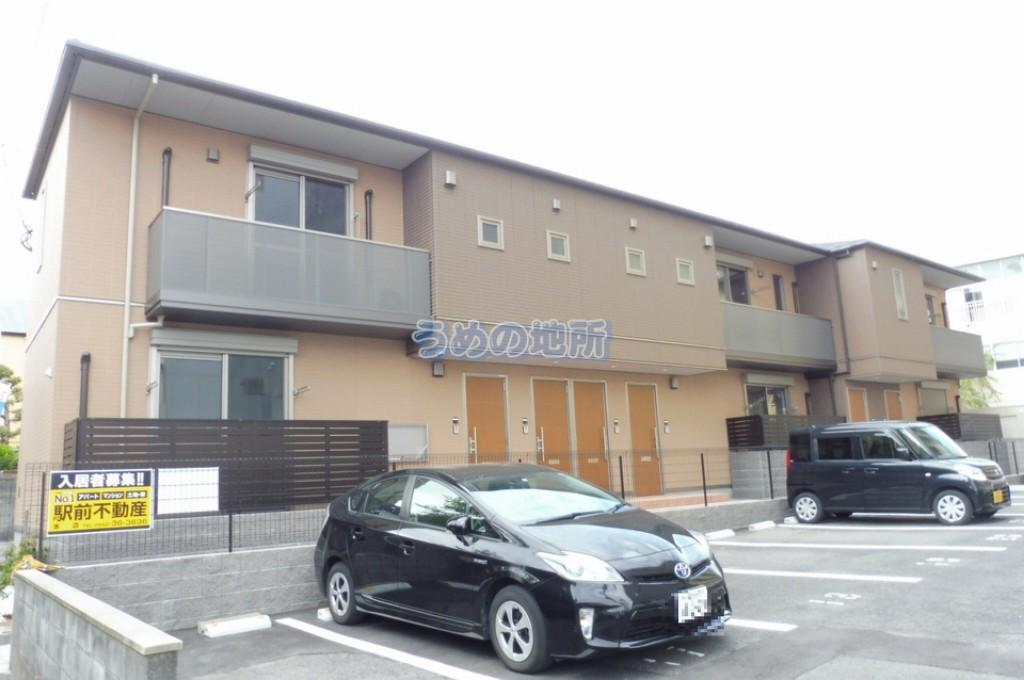 シャーメゾン花畑