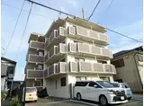 カーサカリーノ