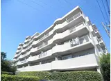 レックス小山プレニエ