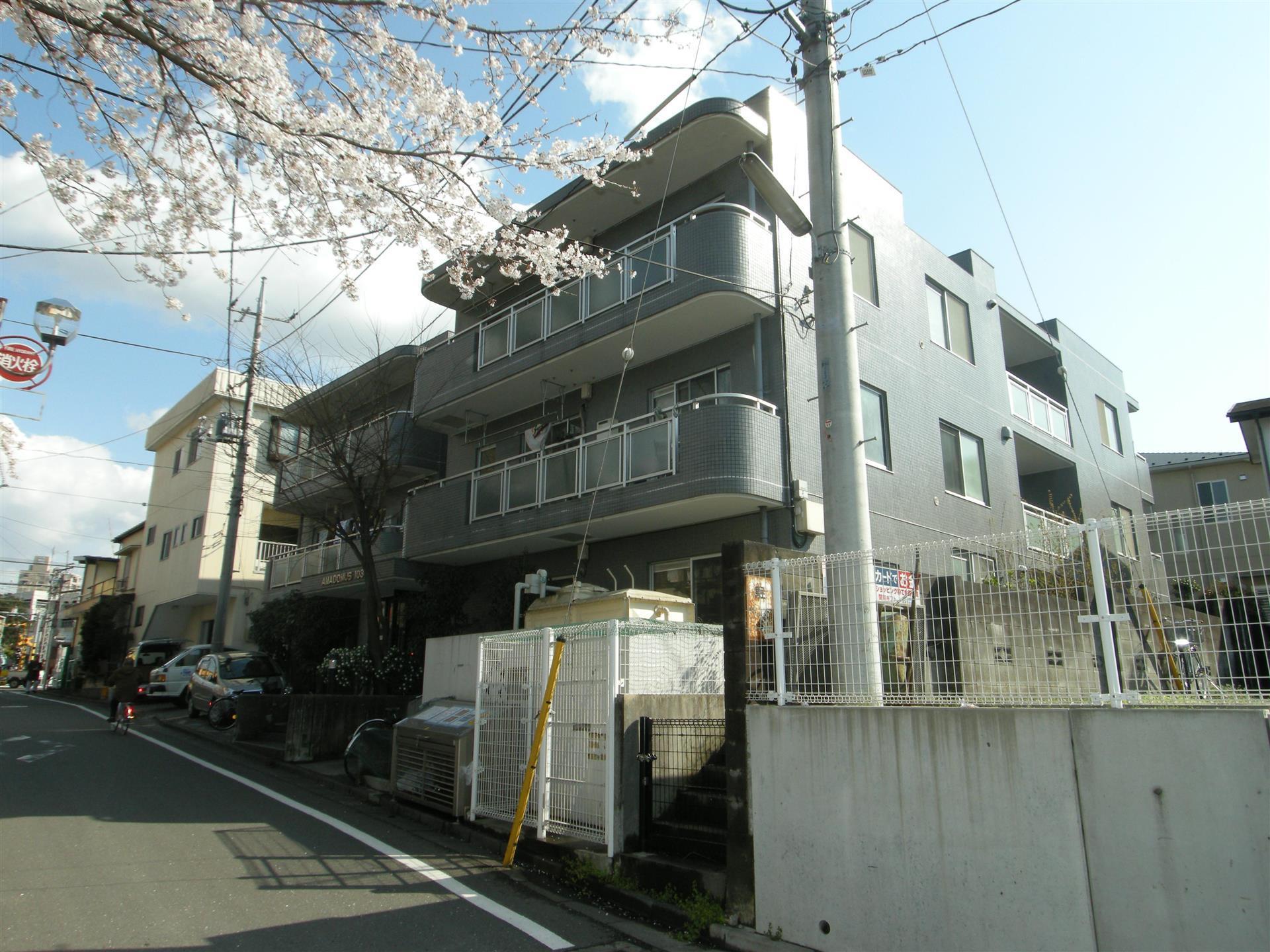 アマドムス103