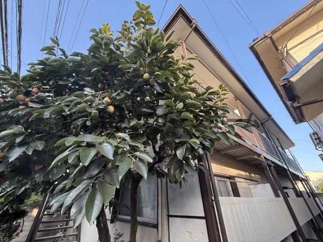コーポ久納 (1DK/1階)