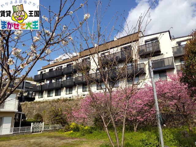 ベラヴィスタ西坂(1K/1階)
