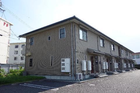 グレイス プレジオ
