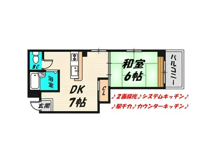 メゾンド紫香(1DK/1階)の間取り写真