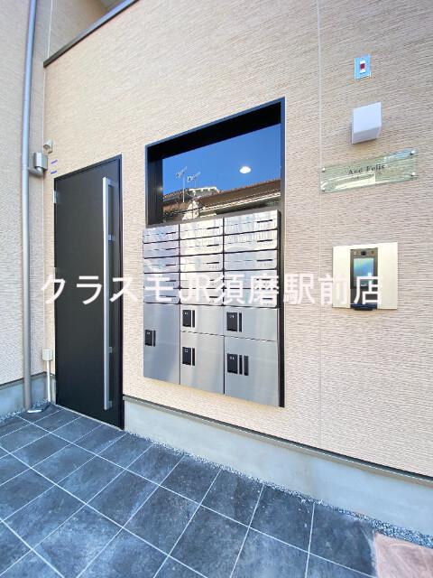 アンドフェリス
