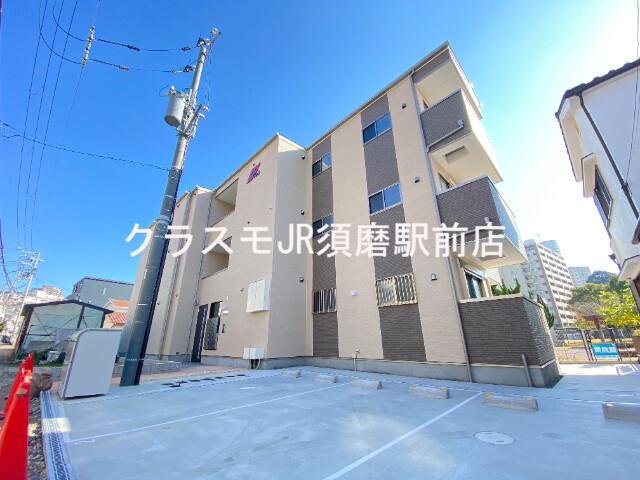 アンドフェリス