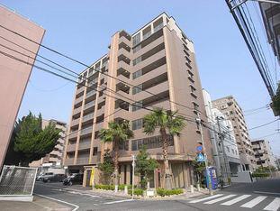 ラヴィ ヌーヴォ
