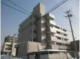 ラムセスA小白川