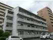 ロイヤルハウス西霞(2DK/4階)