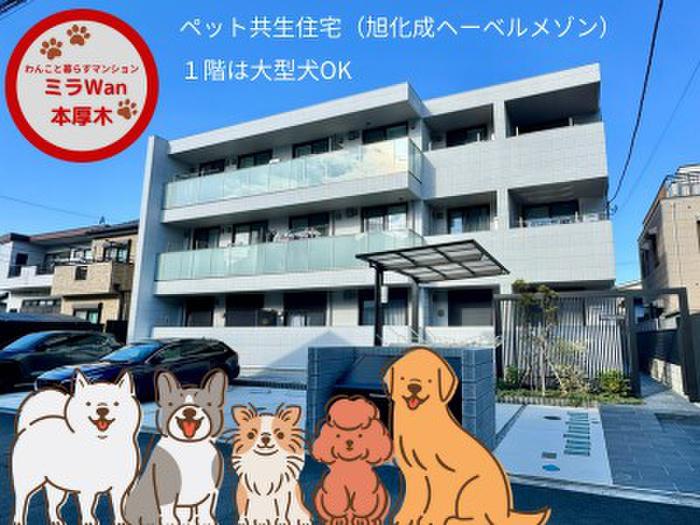 ミラ WAN本厚木