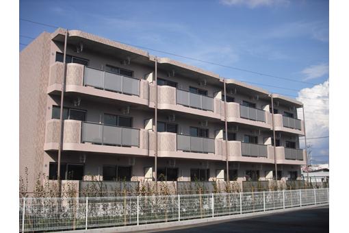 Y&Mサザン甲府