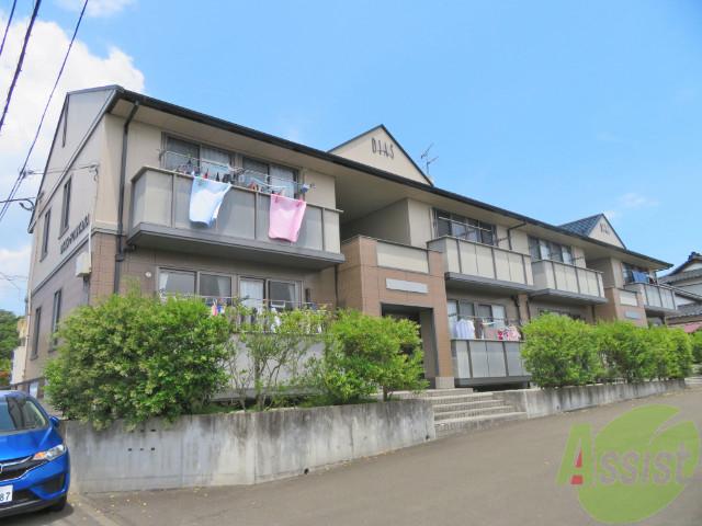 DIAS・FONTANA