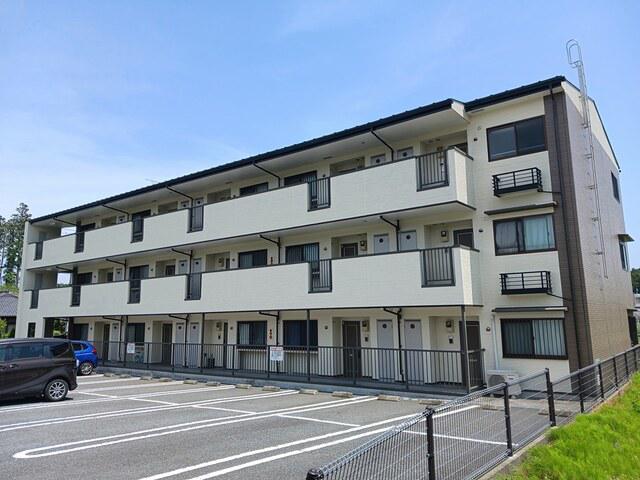 白蔵 IV