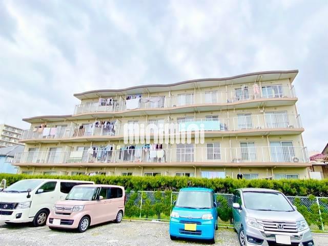 市川カトレアハイツあらい