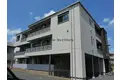 シャラロステ