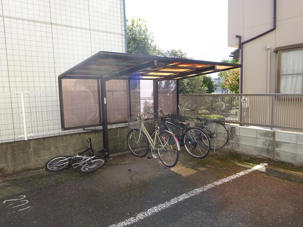 ピーノヴェルデ