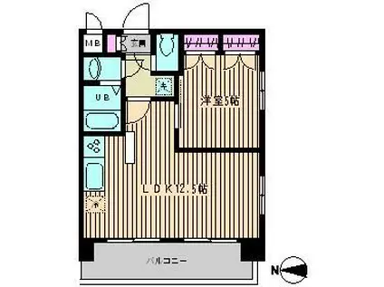 チェスターハウス本郷(1LDK/3階)の間取り写真