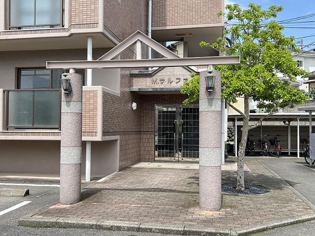 M・サルファー