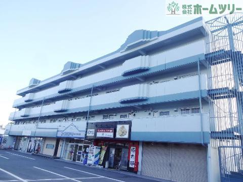 テピカルイブ