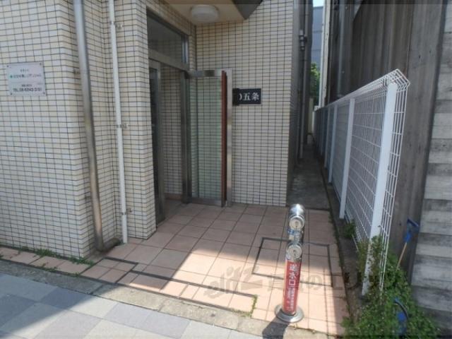STD五条