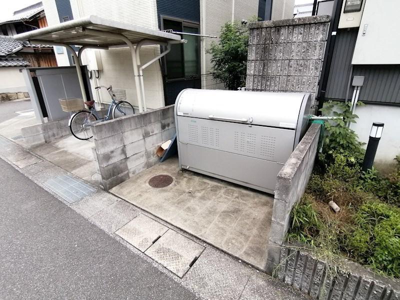 アンプルールチェリー