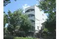 スウィング岡崎