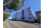 第1ブリリアント若草
