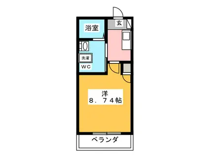 アノンテラス枡形(1K/2階)の間取り写真