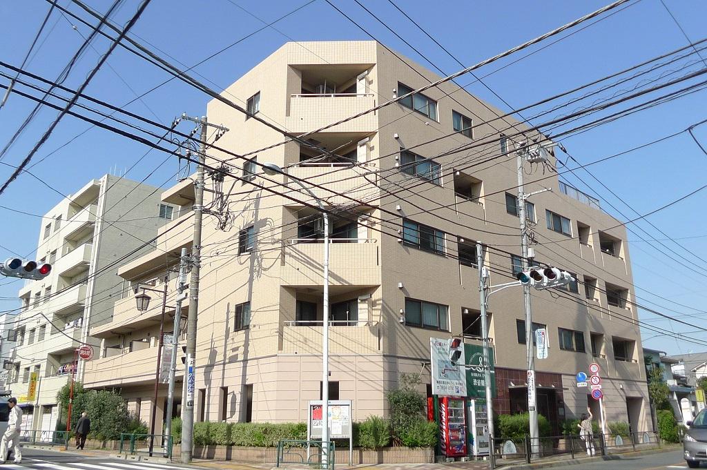 オリーブ