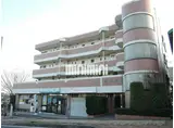 東急こどもの国線 こどもの国駅(神奈川) 徒歩9分 4階建 築31年