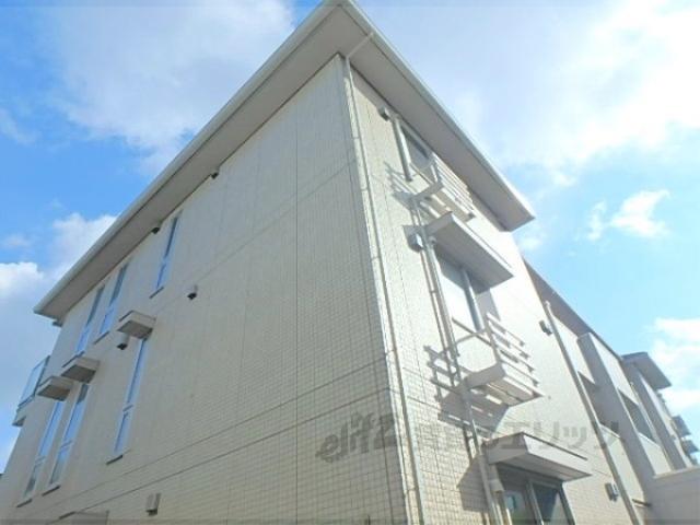 ピーノコンプリオ